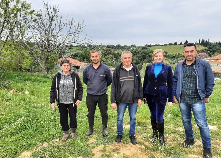 Διονυσία Αυγερινοπούλου: Στηρίζουμε ουσιαστικά την κτηνοτροφία και την ελληνική περιφέρεια