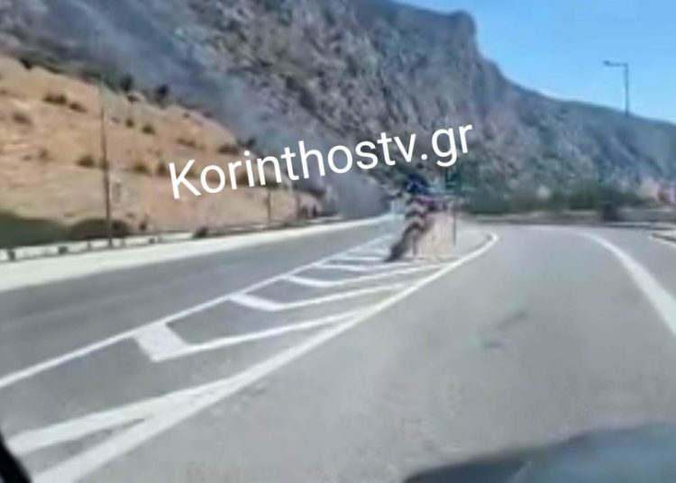 Διακοπή κυκλοφορίας προς Κόρινθο-Φωτιά σε όχημα σε τούνελ