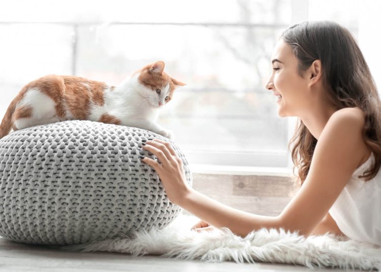 Έρχεται παράβολο 150 ευρώ για κάθε ζώο συντροφιάς