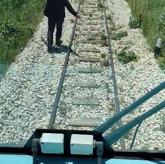 Το τραίνο Κατακόλου και… τα πρόβατα…