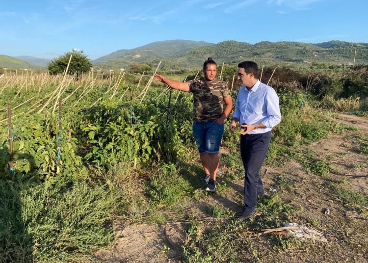 Μιχάλης Κατρίνης: Η κοροϊδία της Νέας Δημοκρατίας απέναντι στους αγρότες δεν έχει όριο