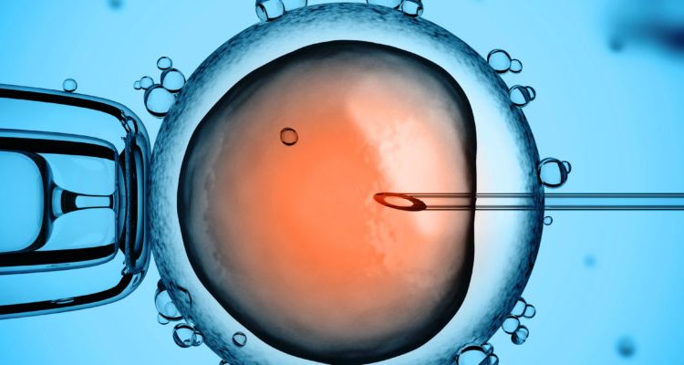 Εξωσωματική γονιμοποίηση: Κρύβει τελικά κινδύνους; Ο ειδικός απαντά