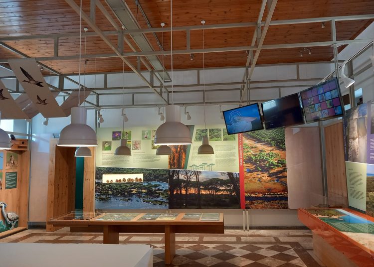 Στροφυλιά-Κοτύχι: Το ¨μουσείο φυσικής ιστορίας¨ της Ηλείας!