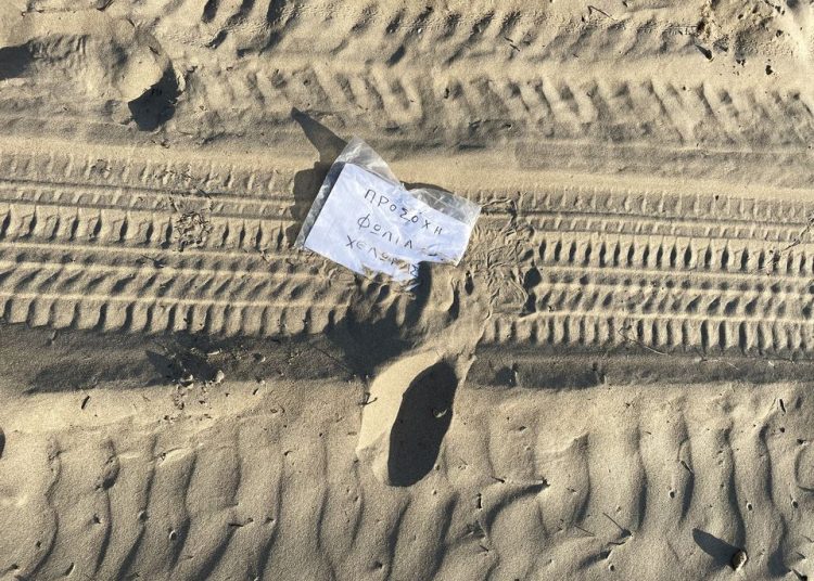 Παραλίες Πύργου: Περιβαλλοντική καταστροφή στις φωλιές χελωνών-Καμία ζημιά στα αυγά δηλώνει ο δήμος