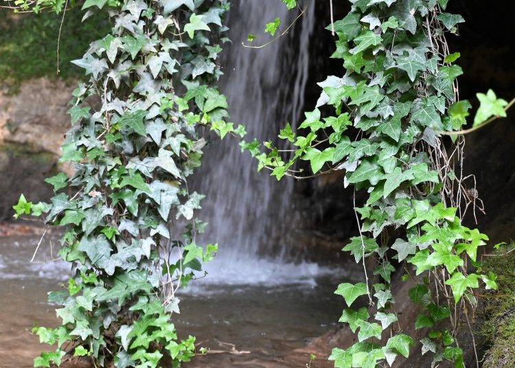 Κάποιοι νοιάζονται για την Ηλεία-Πως άτομα με όρεξη κάνουν γνωστές τις ομορφιές μας