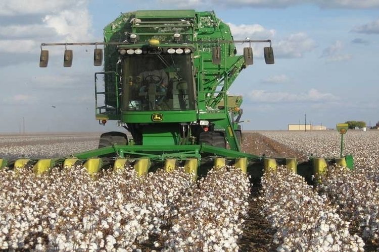 Ενημέρωση για την προστασία των βαμβακοκαλλιεργητών Ηλείας