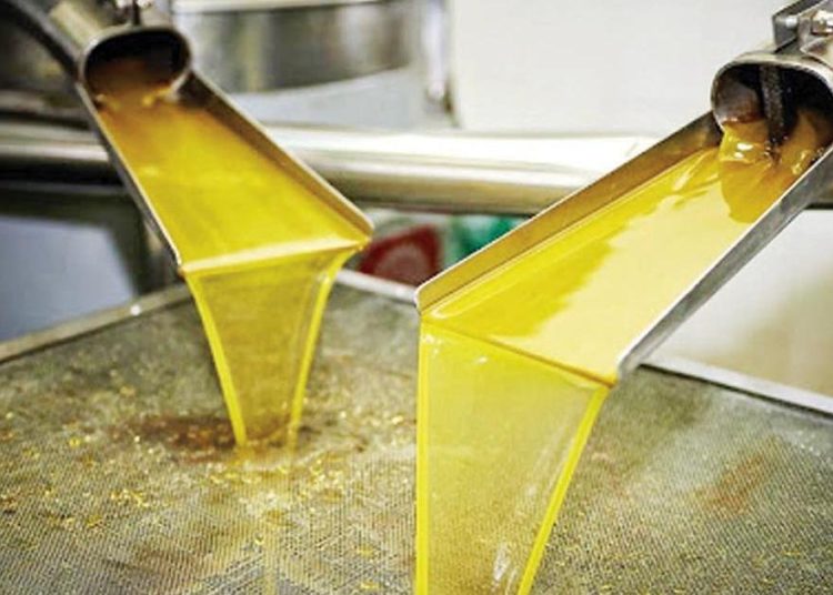 Ηλεία: Σε κίνδυνο η παραγωγή λαδιού-Μειωμένες ποσότητες θα φτάσουν στην αγορά