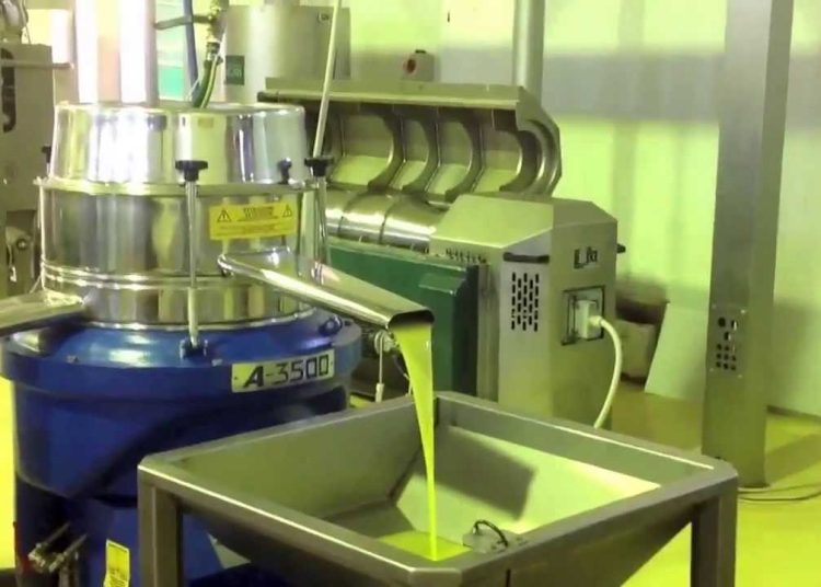 ΕΛΛΑΔΑ-ΗΛΕΙΑ: Εκτόξευση της τιμής του Ελαιόλαδου. Στα 7,10 ευρώ το κιλό το Έξτρα Παρθένο!!!