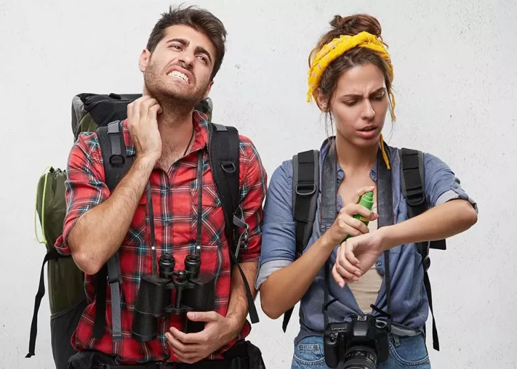 Κουνούπια: Τι τα ελκύει σαν μαγνήτης και τι τα απωθεί – Πάρτε τα μέτρα σας