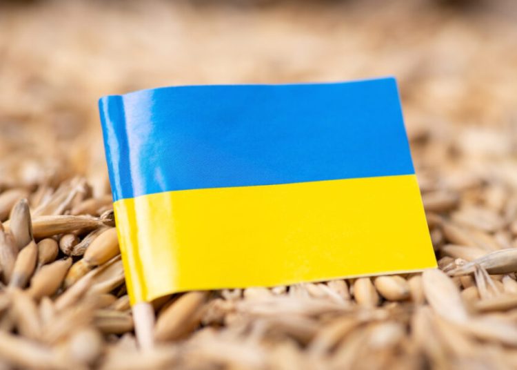 Σιτηρά-Ουκρανία: Αλμα στις τιμές μετά την κατάρρευση της Συμφωνίας της Μαύρης Θάλασσας