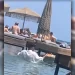 Οργή στη Ρόδο: Σερβιτόρος σε beach bar παραδίδει παραγγελία σχεδόν… κολυμπώντας! – Δείτε βίντεο