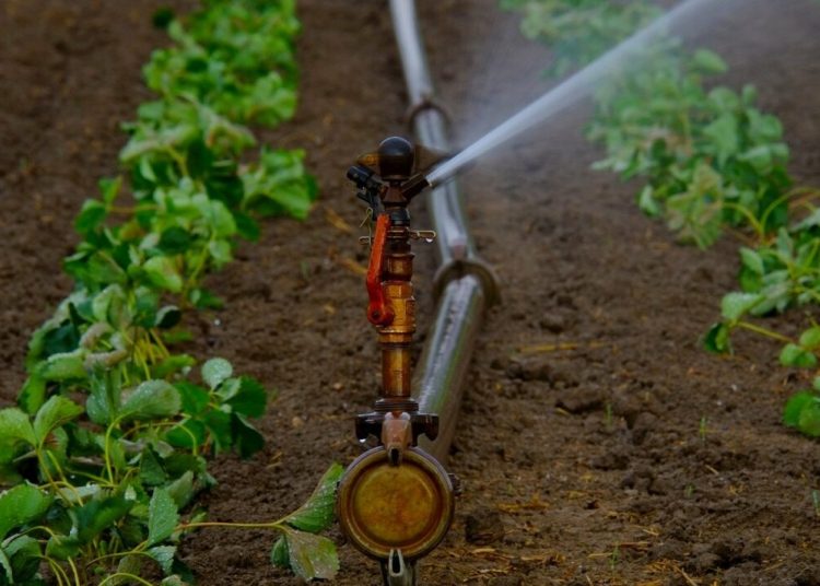 TOEB Επιταλίου & Πύργου: Η ΔΕΗ πιέζει για αποπληρωμή χρεών-Σε δυσκολία οι αγρότες