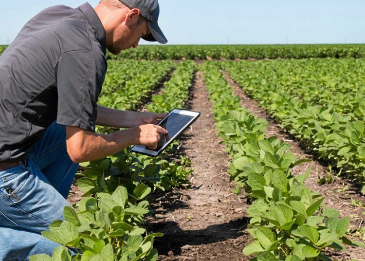 Δημιουργούνται αγροτικά επιμελητήρια για παραγωγούς, κτηνοτρόφους & αλιείς