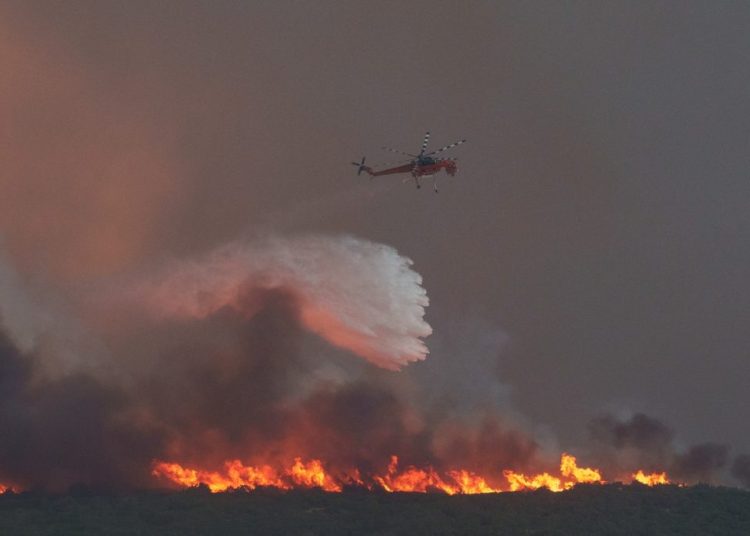 Έβρο: Μετανάστες απανθρακωμένοι στο δάσος της Δαδιάς – Τουλάχιστον 26 οι νεκροί
