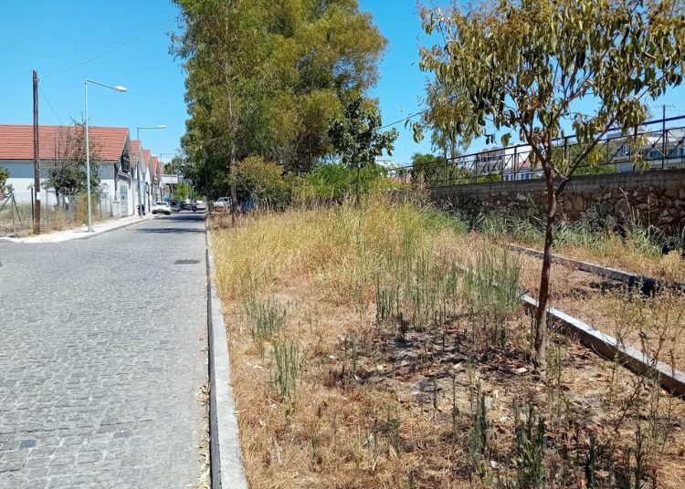 Καννής: Κίνδυνος πυρκαγιάς από ακαθάριστους δημόσιους χώρους στον Πύργο