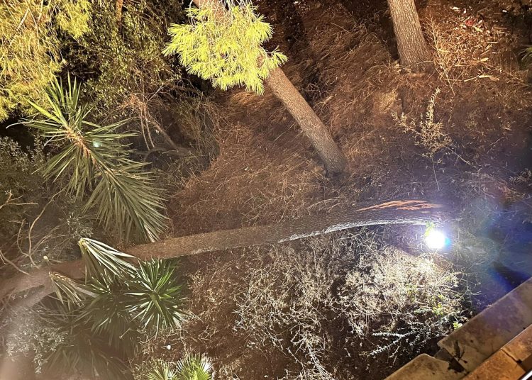 Πύργος: Το επαρχείο καταρρέει-Πτώση δέντρου την νύχτα-Κινδυνεύουν πολίτες