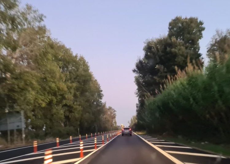 Πατρών-Πύργου: Φωτιά καίει σε έκταση κοντά στο δρόμο-Οι καπνοί δυσκολεύον την ορατότητα