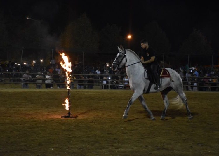 89η Ιππική Έκθεση Ανδραβίδας-Χιλιάδες θεατές, εντυπωσιακό θέαμα! 
