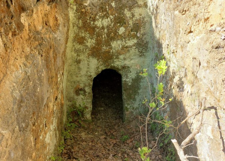 Το Μυκηναϊκό Νεκροταφείο της Αγίας Τριάδας Ηλείας