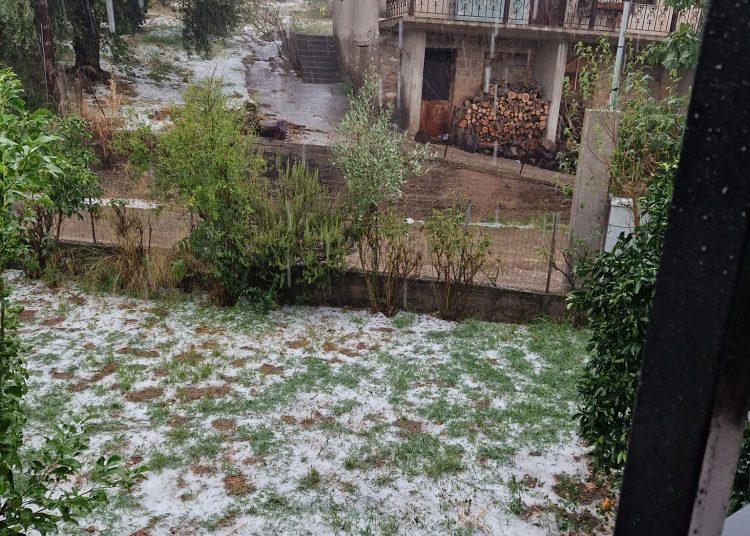 Βασιλάκι Ηλείας: Έντονη χαλαζόπτωση έφερε καταστροφές στις καλλιέργειες