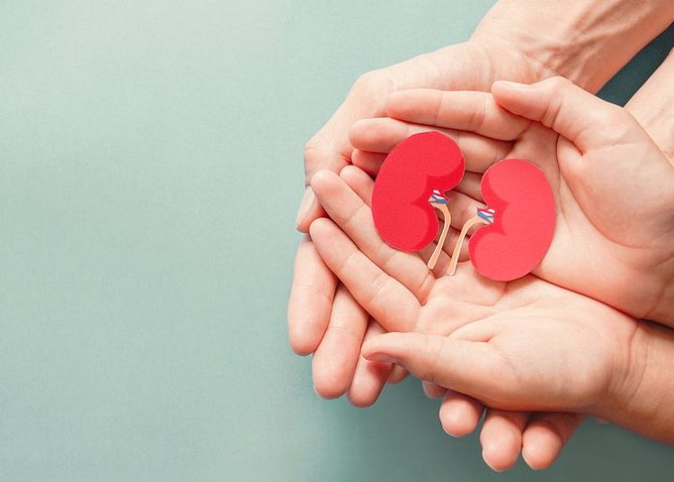 Δωρεά Οργάνων: Αυξάνονται οι δότες – Αλλάζει η κουλτούρα των Ελλήνων