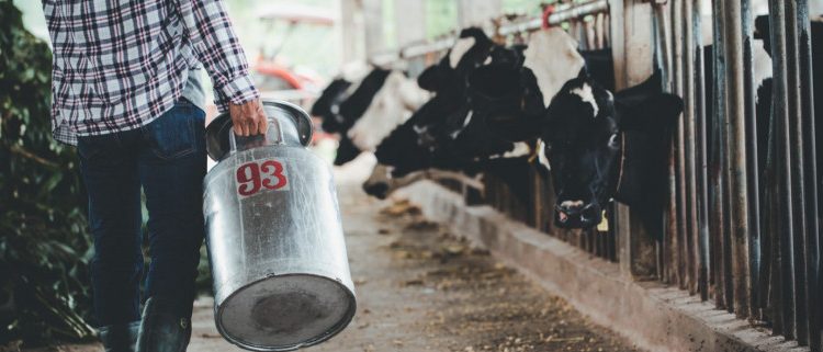 Γάλα: Ακριβότερα το πληρώνουν οι Έλληνες–Το παράδοξο χωραφιού–ραφιού