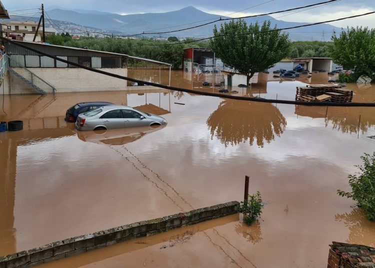 Καρδίτσα: Αγωνία για εγκλωβισμένη έγκυο- Πρέπει να μεταφερθεί στο νοσοκομείο