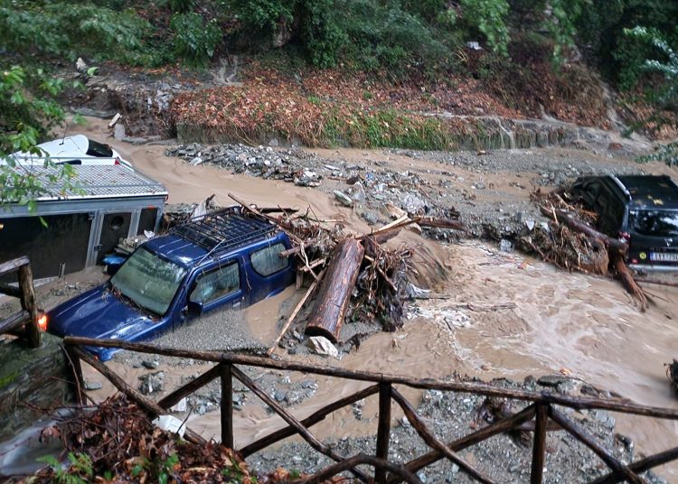 Πνίγηκε στο Πήλιο ο ¨Νώε¨ που είχε φτιάξει βάρκα στα δέντρα