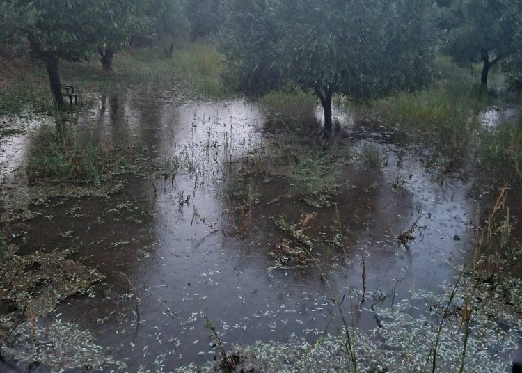 Ολυμπία: Μεγάλες ζημιές από το χαλάζι-Τι ζητά ο Δήμαρχος από τον ΕΛΓΑ