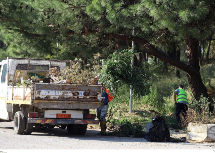 Πύργος –Πρόγραμμα AntiNero II: Έργα από το Δασαρχείο για πρόληψη Πυρκαγιών
