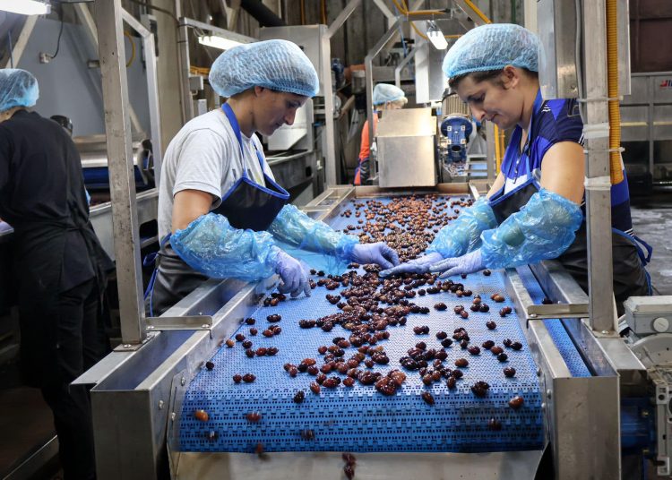 Σε Ηλεία managers και ιδιοκτήτες εστιατορίων-ξενοδοχείων για την ελαιοπαραγωγή