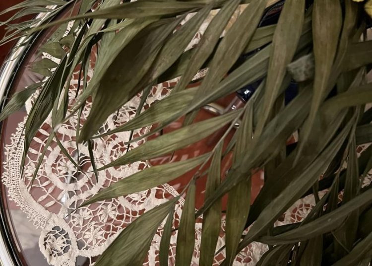 Γι αυτά τα παιδιά θέλω να ψηφίσω. (Γράφει ο Χάρης Κανελλακόπουλος)