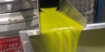 Με 9,25 ξεκίνησε να πληρώνει το φρέσκο ελαιόλαδο το ελαιοτριβείο Παπαδόπουλος στην Ηλεία