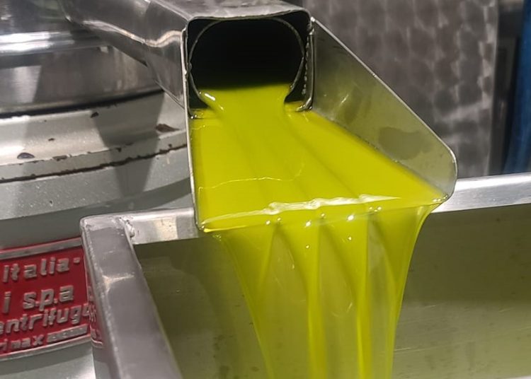 Με 9,25 ξεκίνησε να πληρώνει το φρέσκο ελαιόλαδο το ελαιοτριβείο Παπαδόπουλος στην Ηλεία