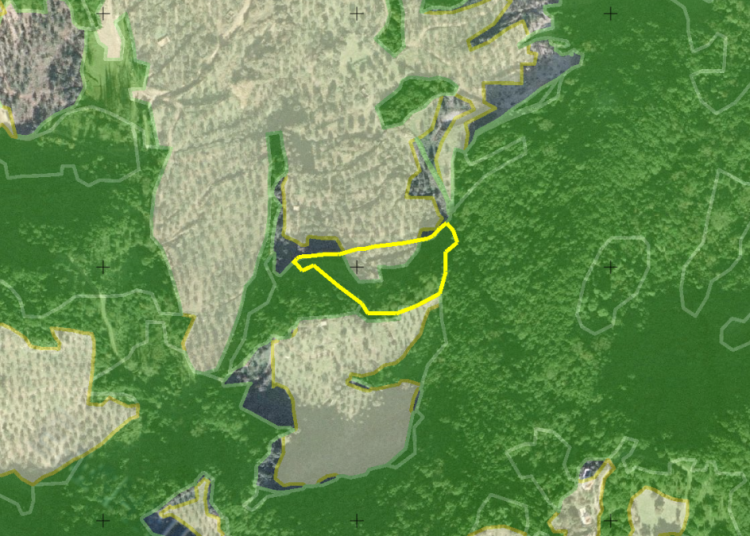 Αναδασωτέες εκτάσεις: Θετική αλλαγή για ιδιοκτήτες ακινήτων-Τέλος στην ταλαιπωρία