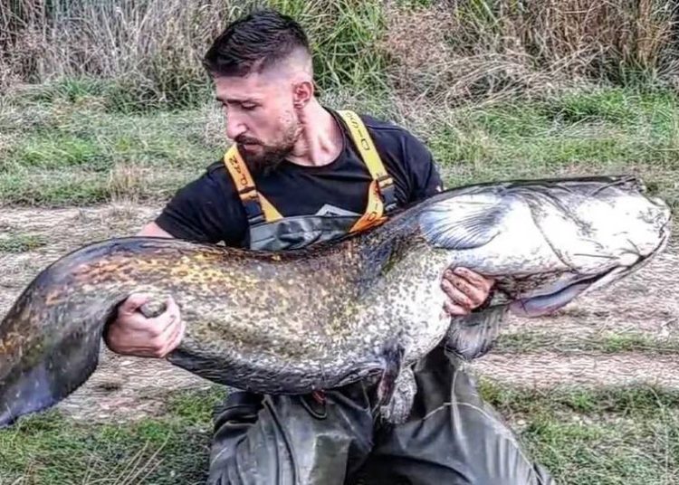 Μεγαλόπολη: Έπιασε σε λίμνη ψάρι 70 κιλά!
