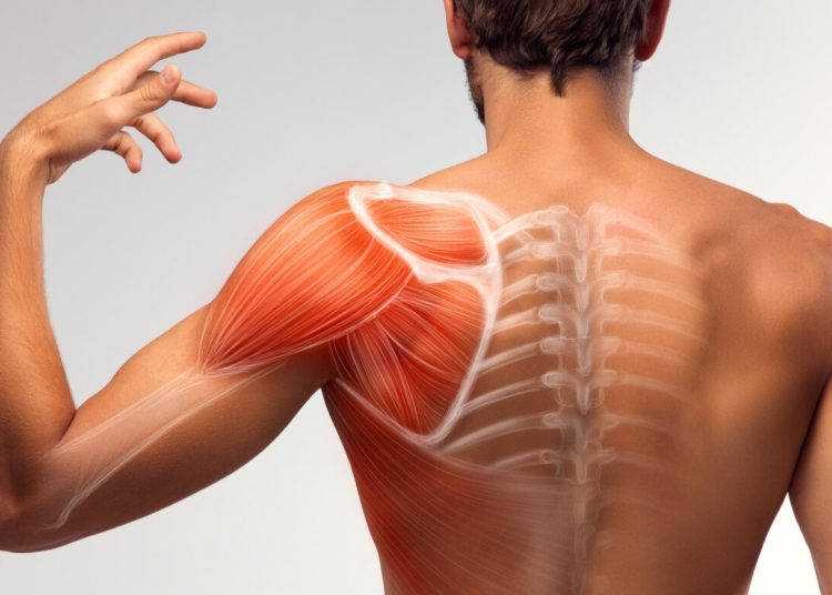 Ασκήσεις που «ξεκλειδώνουν»  ισχία, σπονδυλική στήλη και ώμους