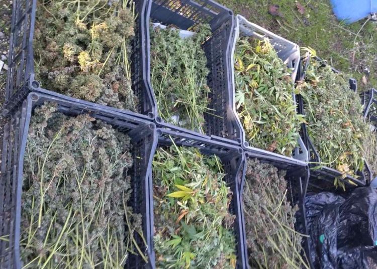 Kυλλήνη: Άνδρας είχε ναρκωτικά και εκρηκτικά στο σπίτι του