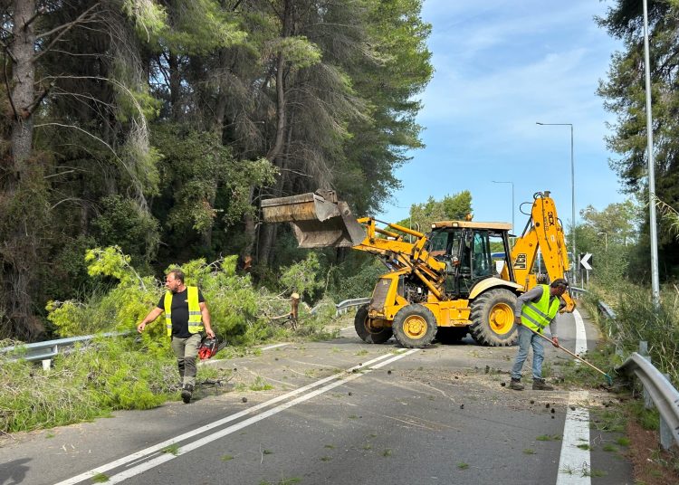 Εθνική Πύργου-Κυπαρισσίας: Εργασίες καθαρισμού δέντρων