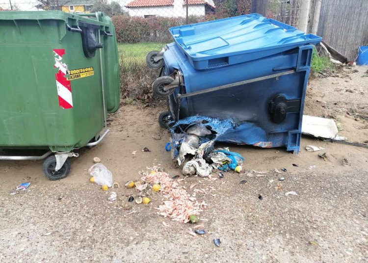 Κατάκολο: ¨Πόλεμος¨ κατοίκων για τους κάδους σκουπιδιών