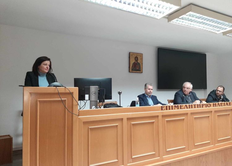 Δ. Αυγερινοπούλου: ¨Θα μεταφέρω στον Υπουργό τις προτάσεις των επαγγελματιών Ηλείας¨