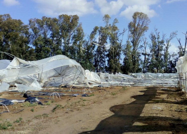 Ηλεία: Αποζημιώνονται επιχειρήσεις που επλήγησαν από ανεμοστρόβιλο το 2022