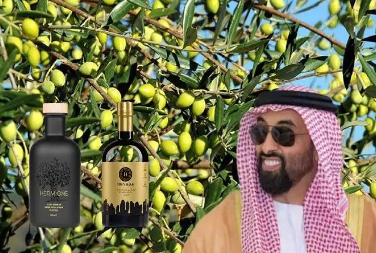 Ο σεΐχης Ταχνούν Μπιν Ζαγιέντ που βγάζει λάδι από τα χωράφια του στην Πελοπόννησο