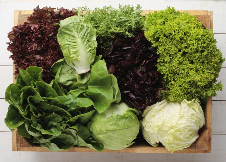 Υγεία: 8 ωφέλιμα πράσινα λαχανικά που πρέπει να τρώμε