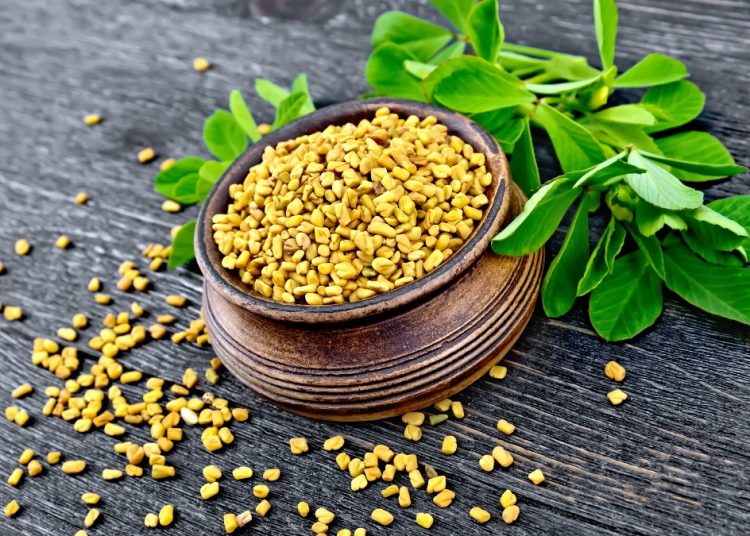 Το «μαγικό» βότανο που ρυθμίζει χοληστερόλη και σάκχαρο – Ενισχύει και την τεστοστερόνη