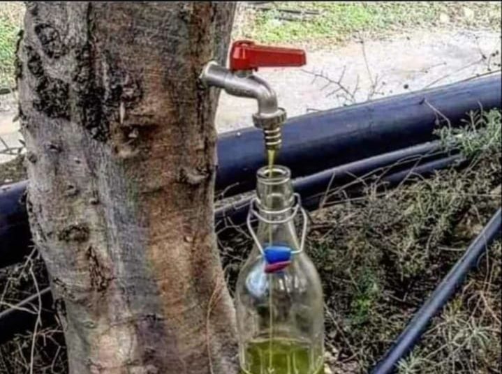 Τα ωραία του Facebook