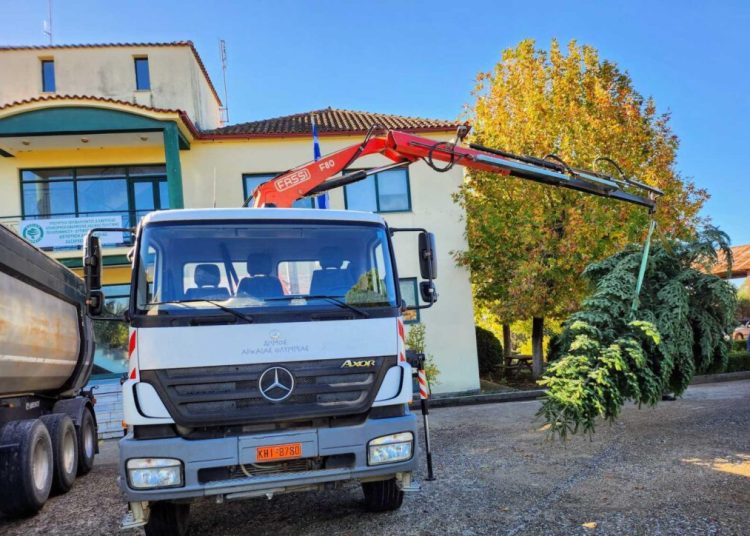 Ηλεία: Δωρεά ελάτων από τα Τρίκαλα για στολισμό