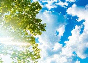 Καιρός: Ανοιξιάτικη Πρωτοχρονιά με υψηλές θερμοκρασίες