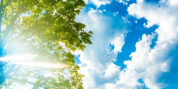 Καιρός: Ανοιξιάτικη Πρωτοχρονιά με υψηλές θερμοκρασίες