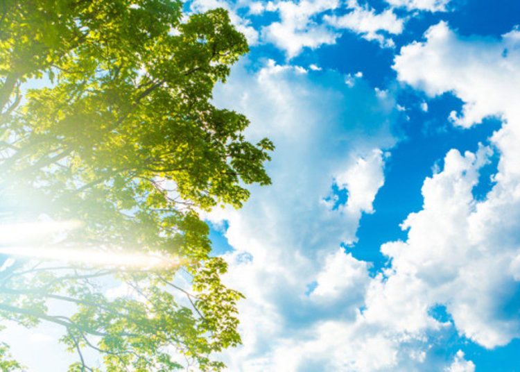 Καιρός: Ανοιξιάτικη Πρωτοχρονιά με υψηλές θερμοκρασίες